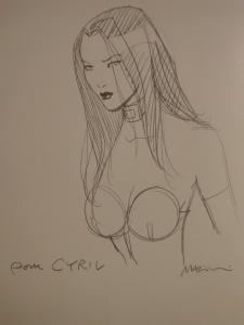 Enrico MARINI - Rapaces #1