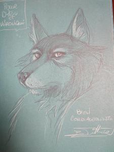 B�atrice TILLIER - Le bois des vierges #1