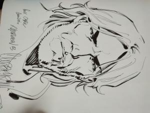 Richard GUERINEAU - Le chant des Stryges #7