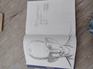 Pascal RABATé - Sous les galets la plage