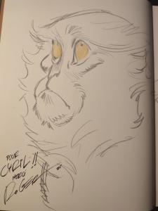  ROGER - Le Dieu-Fauve