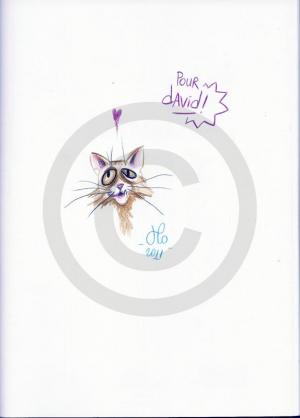 Florent CHAVOUET - Manabé Shima