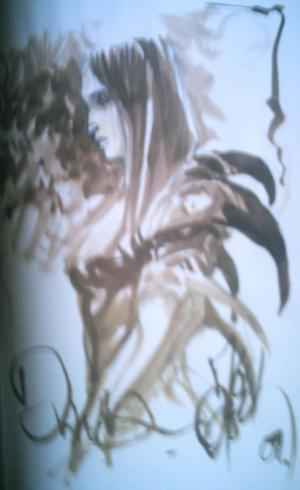   - La geste des chevaliers dragons #8