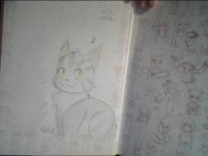   - Maliki #1