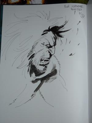 Brice COSSU - Le dauphin, héritier des ténèbres #2