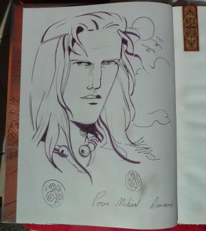 Arnaud LETERRIER - Finn #1