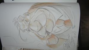 Etienne WILLEM - Vieille Bruyère et bas de soie #1