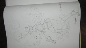 Didier CASSEGRAIN - Piège sur Zarkass #1