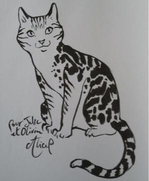 Alice PICARD - Mon chat à moi