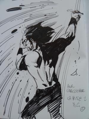 Brice COSSU - Le dauphin, héritier des ténèbres #1