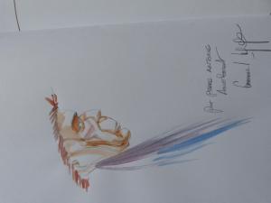   - La terre sans mal