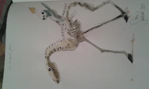 Tony SANDOVAL - Nocturno