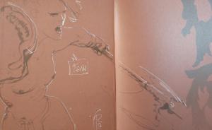 Ronan TOULHOAT - La geste des chevaliers dragons #21