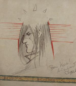 Olivier PERU - Elfes #8