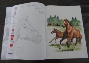   - Le galop du silence