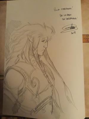 St�phane BILEAU - Elfes #8