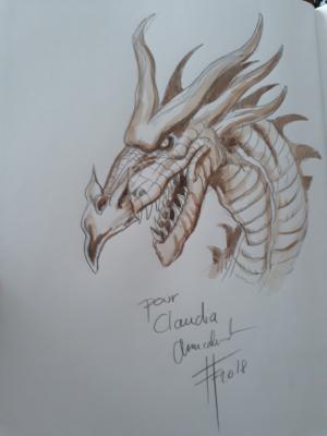 Fabrice ANGLERAUD - Chroniques de la lune noire #17