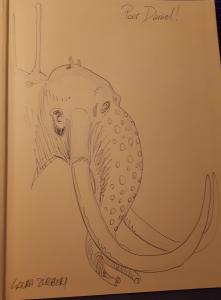 Laura ZUCCHERI - Retour sur Belzagor