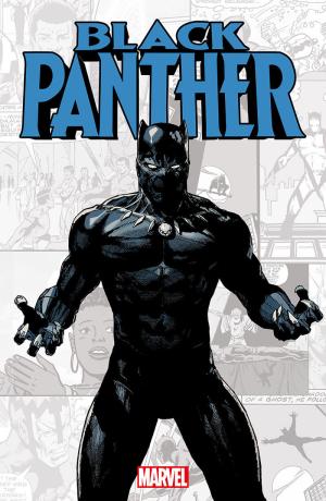 Marvel-verse - Black panther