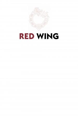 Red wing  Red Wing TPB hardcover (cartonnée) (delcourt bd) photo 2