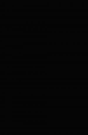 Carbon Grey 1 La prophétie de Gottfaust TPB Softcover (2013 - 2014) (Panini Comics) photo 4