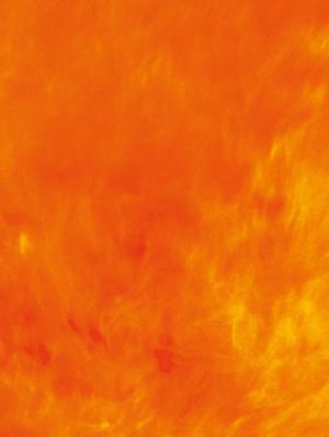 Vell'a 1 La marque simple (glénat bd) photo 1