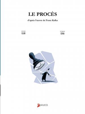 Le procès  Le procès Limitée (akileos) photo 2