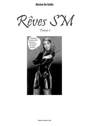 Rêves SM 1 Tome 1 simple (Rebecca Rills) photo 1