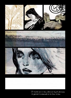 Sirène  Sirène simple (dupuis) photo 3