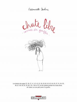 Chute libre   Carnets du gouffre simple (delcourt bd) photo 2