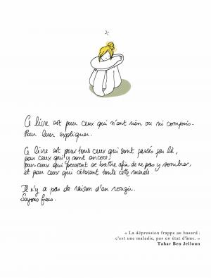 Chute libre   Carnets du gouffre simple (delcourt bd) photo 8