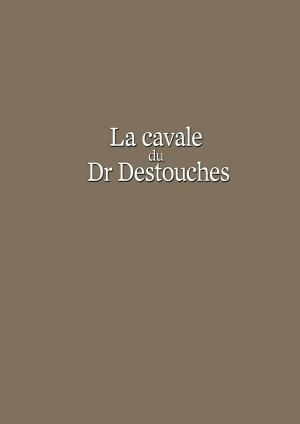 La cavale du Dr Destouches   simple (futuropolis) photo 1