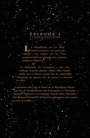 Star Wars  L'intégrale - Episode I à VI - Réédition 2015 Intégrale (delcourt bd) photo 7