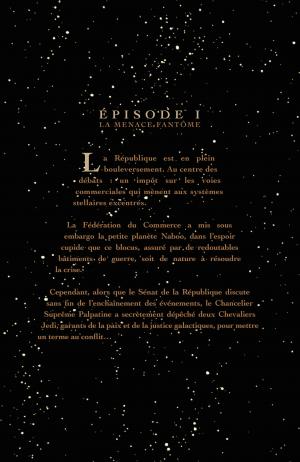 Star Wars  L'intégrale - Episode I à VI - Réédition 2015 Intégrale (delcourt bd) photo 7