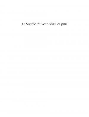 Le souffle du vent dans les pins   Simple (mosquito) photo 6