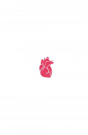 Heart in a Box   TPB hardcover (cartonnée) (glénat bd) photo 2