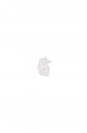 Heart in a Box   TPB hardcover (cartonnée) (glénat bd) photo 6