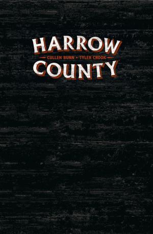 Harrow County 1 Spectres innombrables TPB hardcover (cartonnée) (glénat bd) photo 2