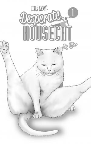 Desperate Housecat & Co. 1  Simple (akata) photo 2