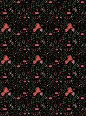 L'épouvantable peur d'Epiphanie Frayeur  1  simple (soleil bd) photo 1