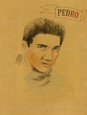 Les frères Rodriguez   simple (glénat bd) photo 1