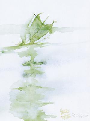 Corto Maltese 1 La ballade de la mer salée Noir et blanc (2017) (casterman bd) photo 6