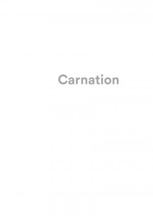 Carnation   Réédition 2017 (casterman bd) photo 2