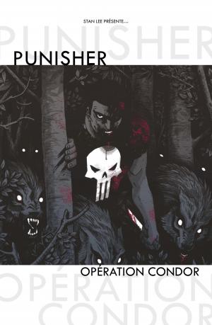 Punisher 1  TPB Hardcover - 100% Marvel - Issues V11 (Panini Comics) photo 2
