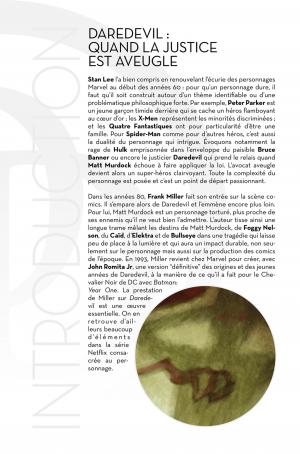 Daredevil   TPB Hardcover - Issues Mini-Serie (20 ans Panini) (Panini Comics) photo 4