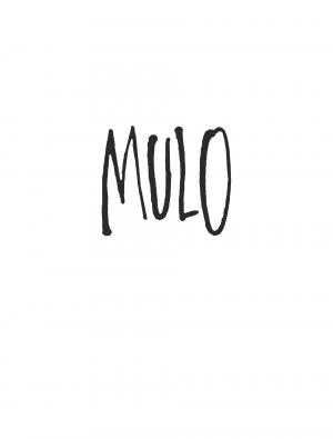 Mulo 1 Crachin Breton simple (dargaud) photo 2