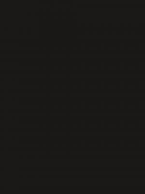 Alix 1 Recueil anniversaire N&B Edition anniversaire 2018 (casterman bd) photo 9