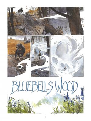 Bluebells Wood   simple (glénat bd) photo 8