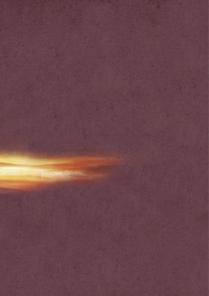 3 fois dès l'aube   simple (futuropolis) photo 5