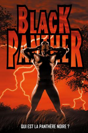 Black Panther  Qui Est La Panthère Noire ? TPB Hardcover - Marvel Deluxe - Issues V4 (Panini Comics) photo 1